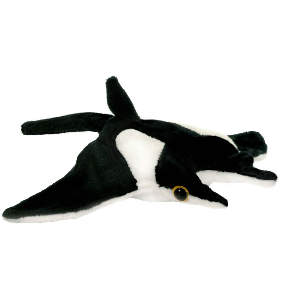 7" Manta Ray