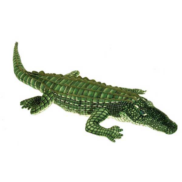 41" Green Alligator