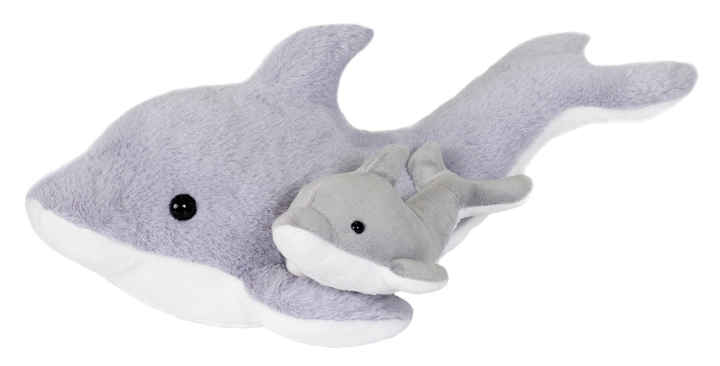 Mom and Baby Dolphin