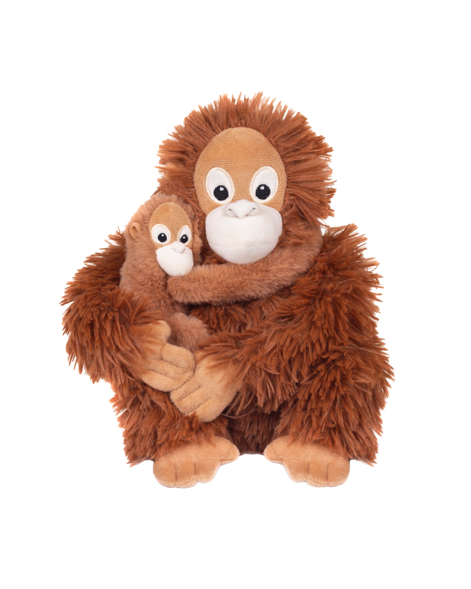 Mom and Baby Orangutan