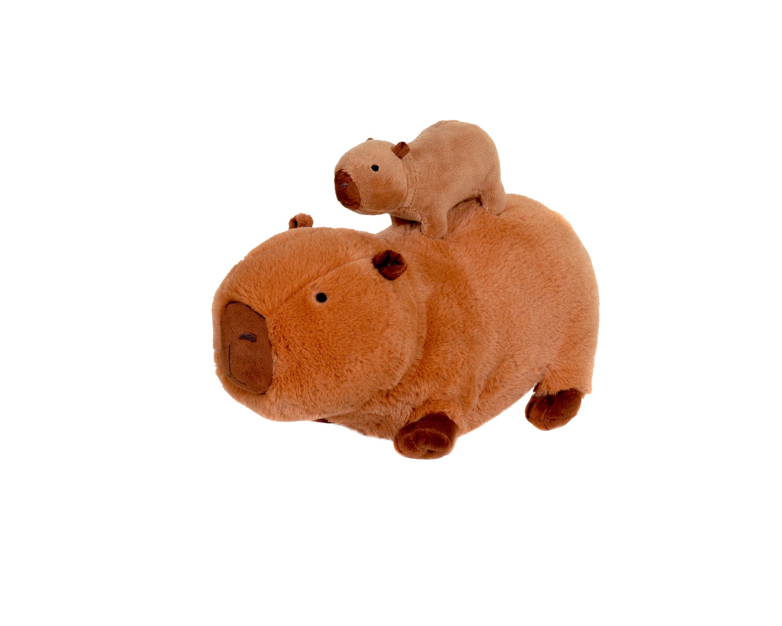 Mom and Baby Capybara