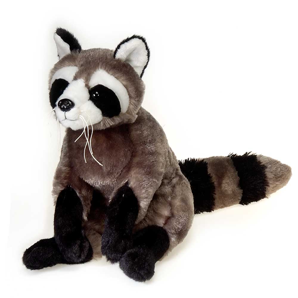 12IN SITTING RACCOON WITH PICTURE HT