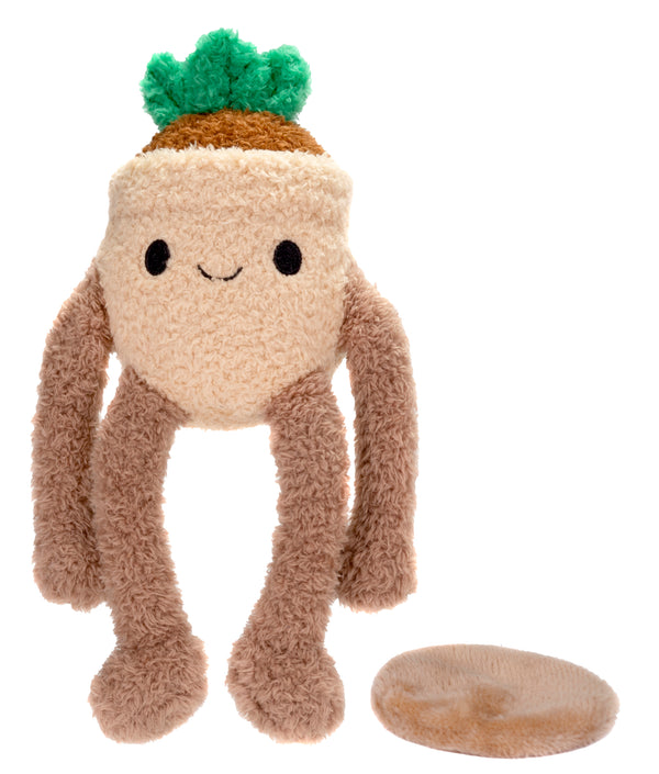 Noodlez Shoulder Sitter - Succulent