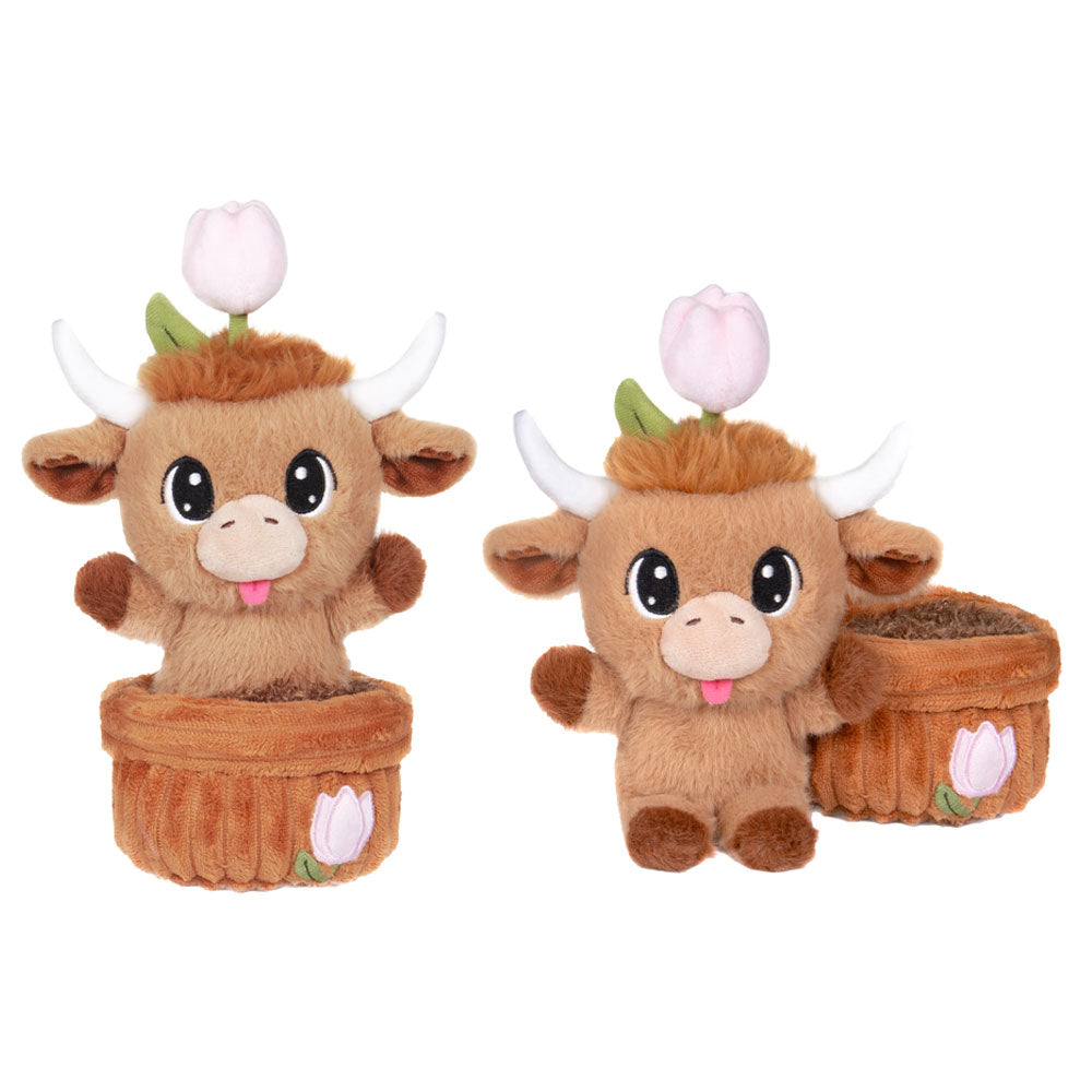 Root Cuties 'Blossom' - 7" Highland Cow