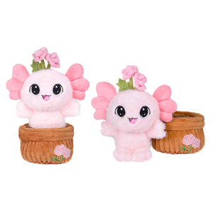 Root Cuties 'Rose' - 7" Axolotl