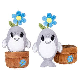 Root Cuties 'Violet' - 7" Shark