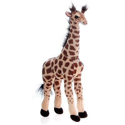 19IN STANDING GIRAFFE WITH PICTURE HT