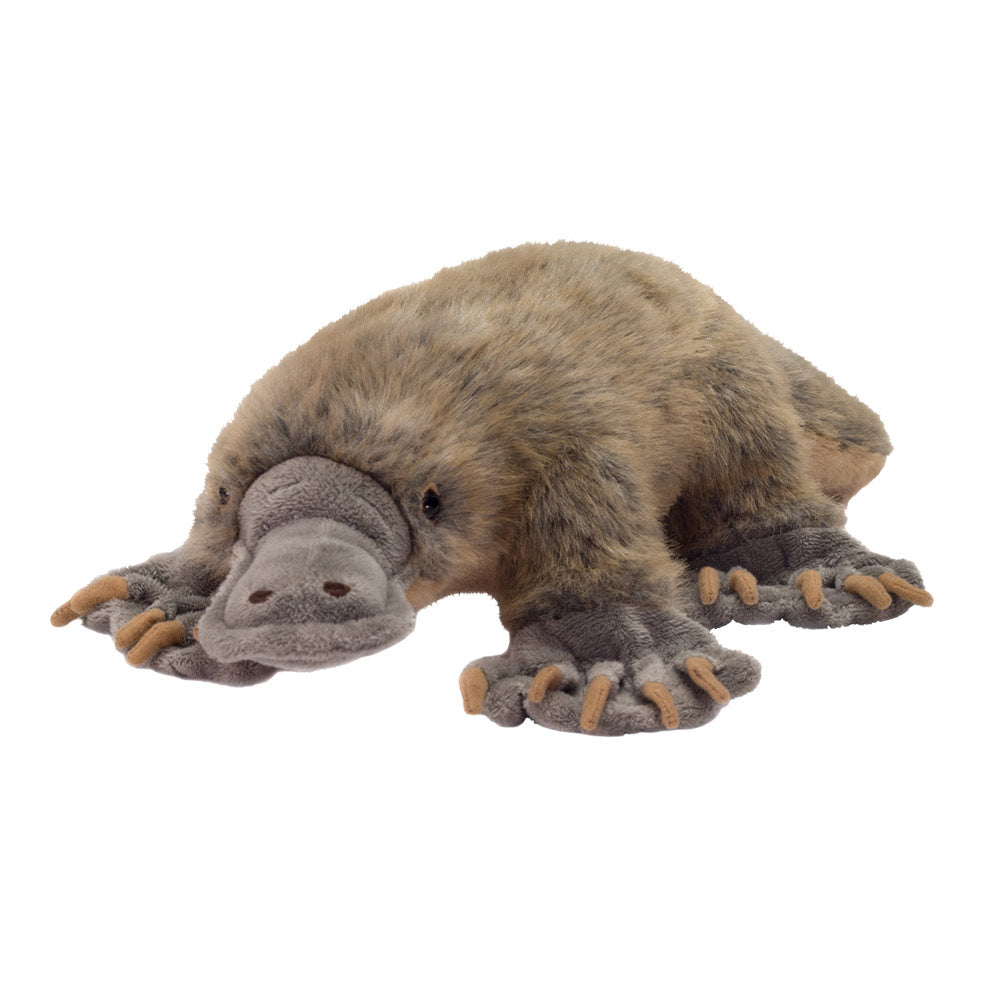 Platypus deals stuffed animal