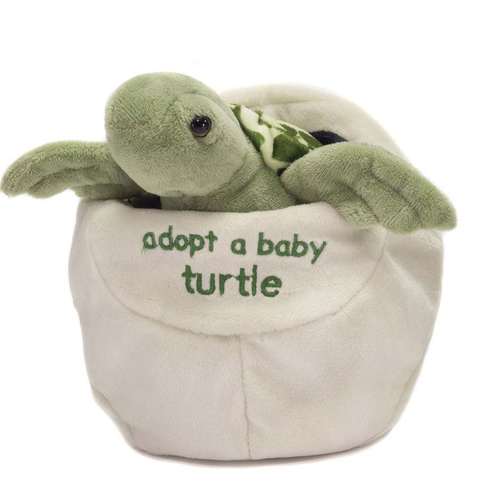 8 Adopt a Baby Turtle