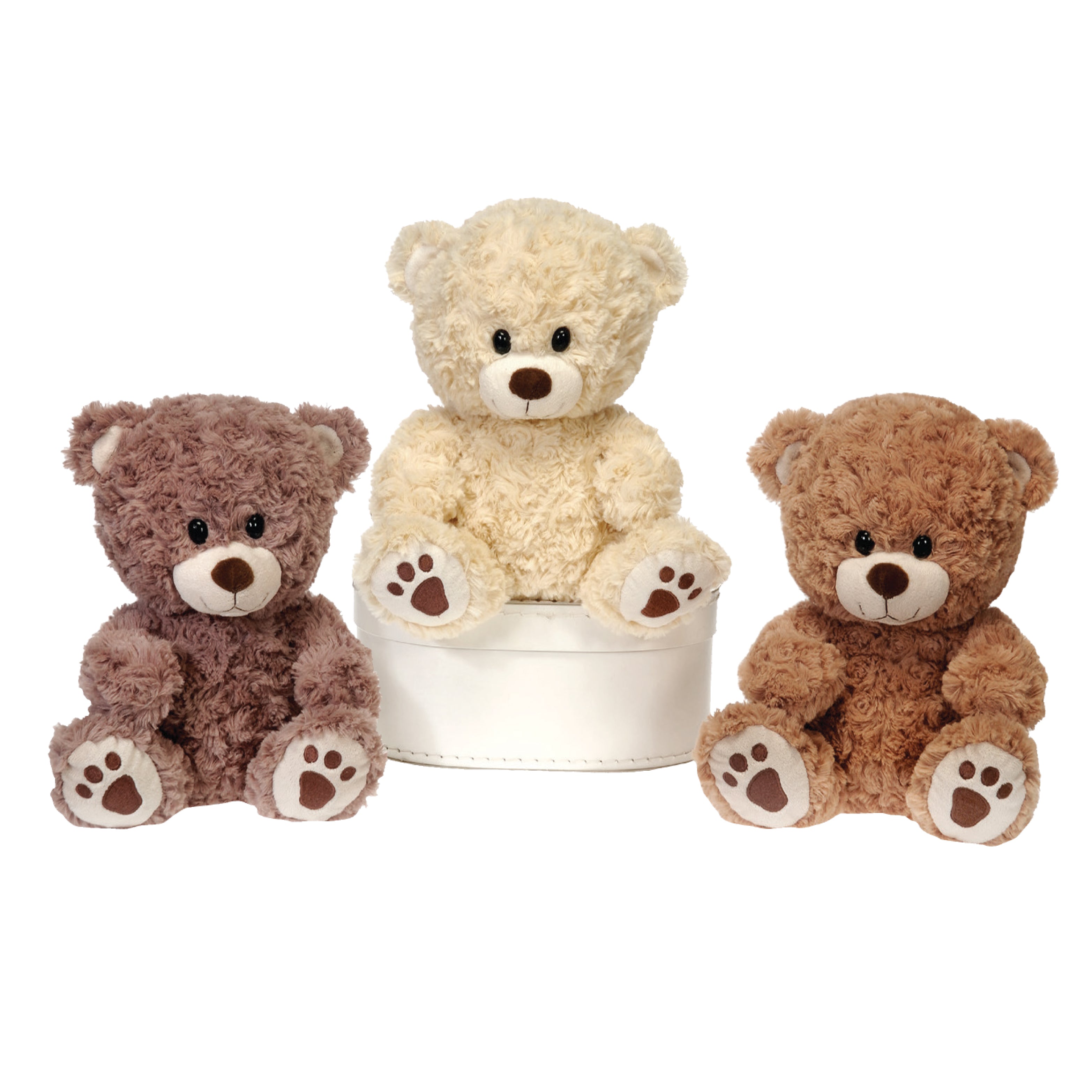 Dog paw 2024 teddy bear