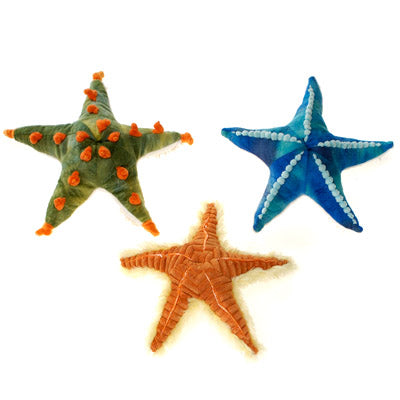 11" Starfish