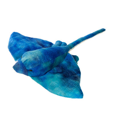 14" Blue Stingray
