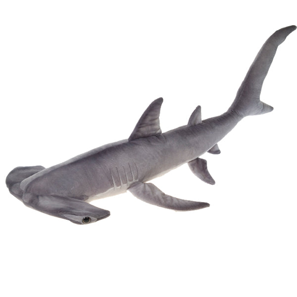 47" Hammerhead Shark