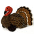 9" Brown Turkey