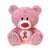 Fiesta's Signature Bear - 9.5" Pink Cancer Awareness Bear